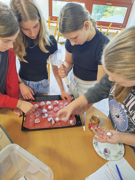 shared image (8).jpeg